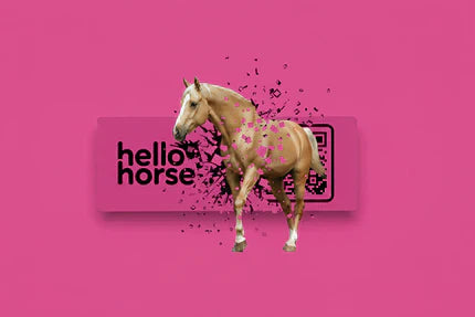 Hello Horse Collection