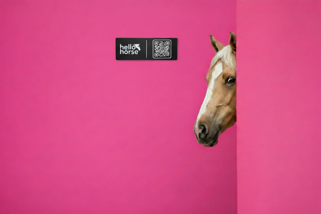 Black Hello Horse plate with Casper on pink wall