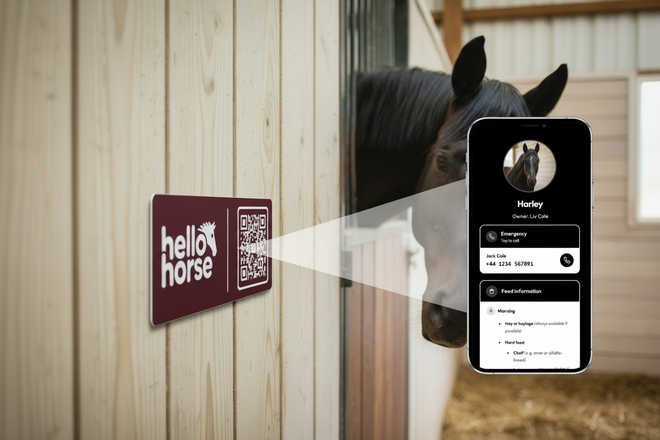 Burgundy Hello Horse plate with light beam from QR code