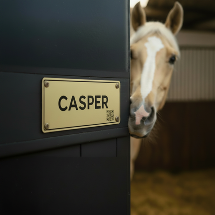 Casper stable door - full bleed square, no backdrop