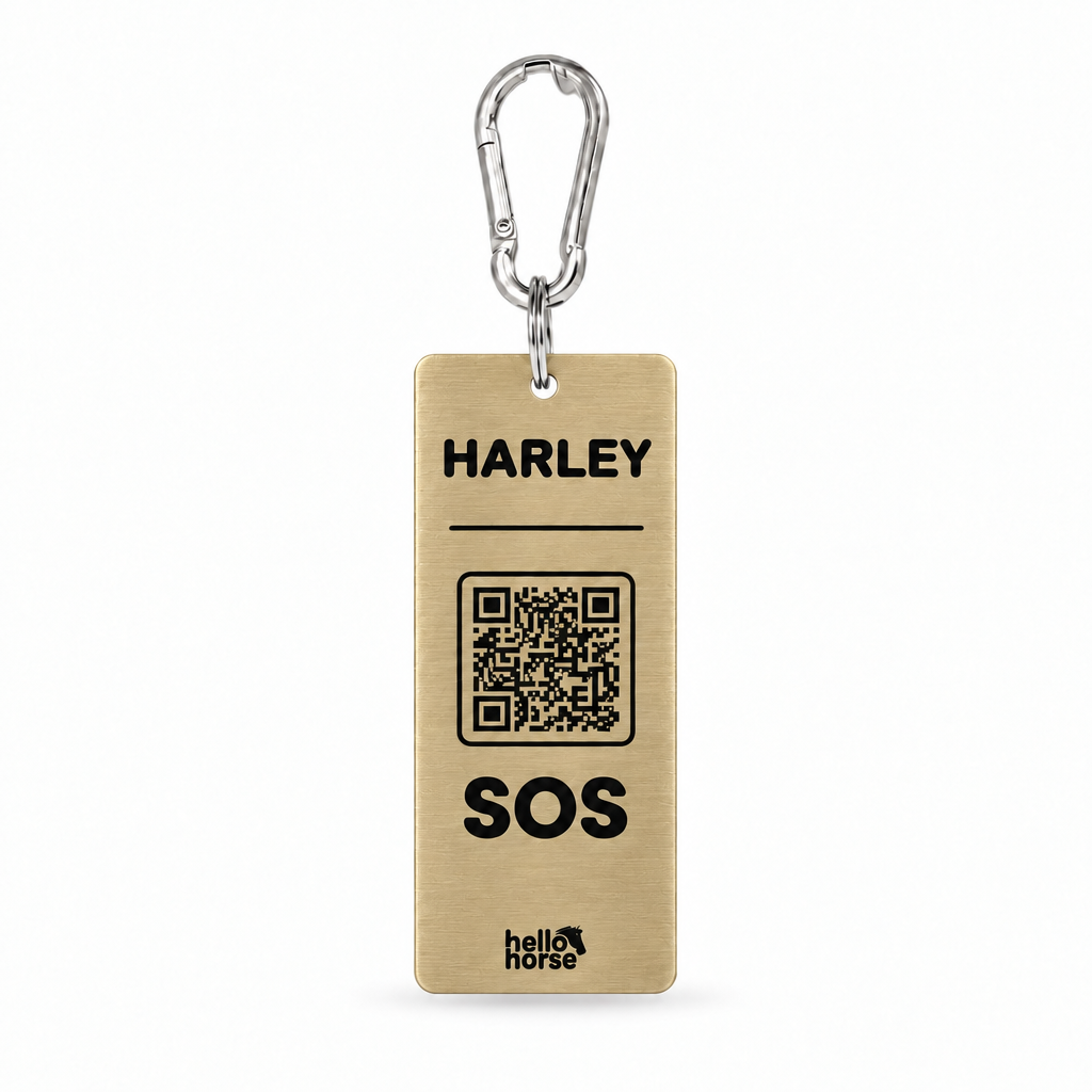 Hanging SOS tag in muted brushed champagne gold with black artwork