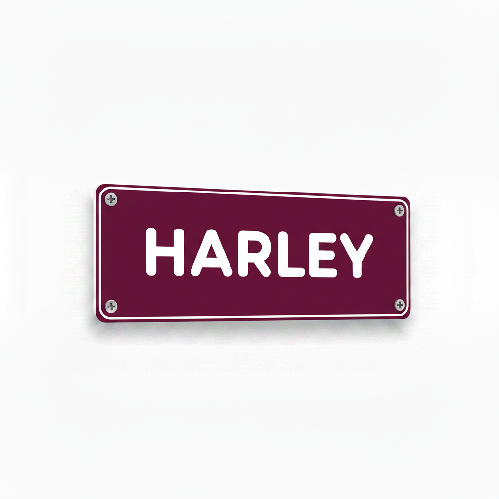 HARLEY burgundy white