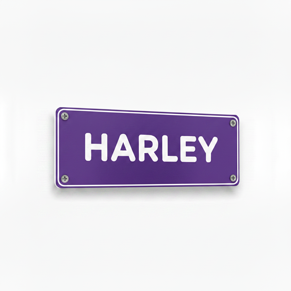 HARLEY purple