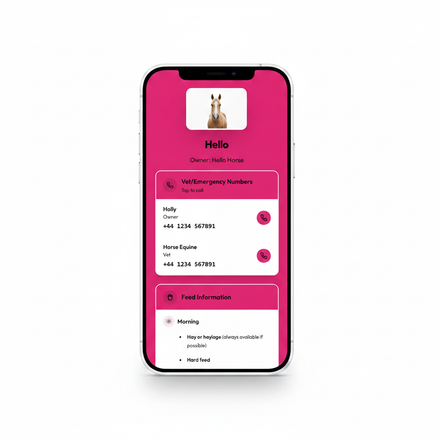 Hello Horse app on latest white iPhone 16 Pro