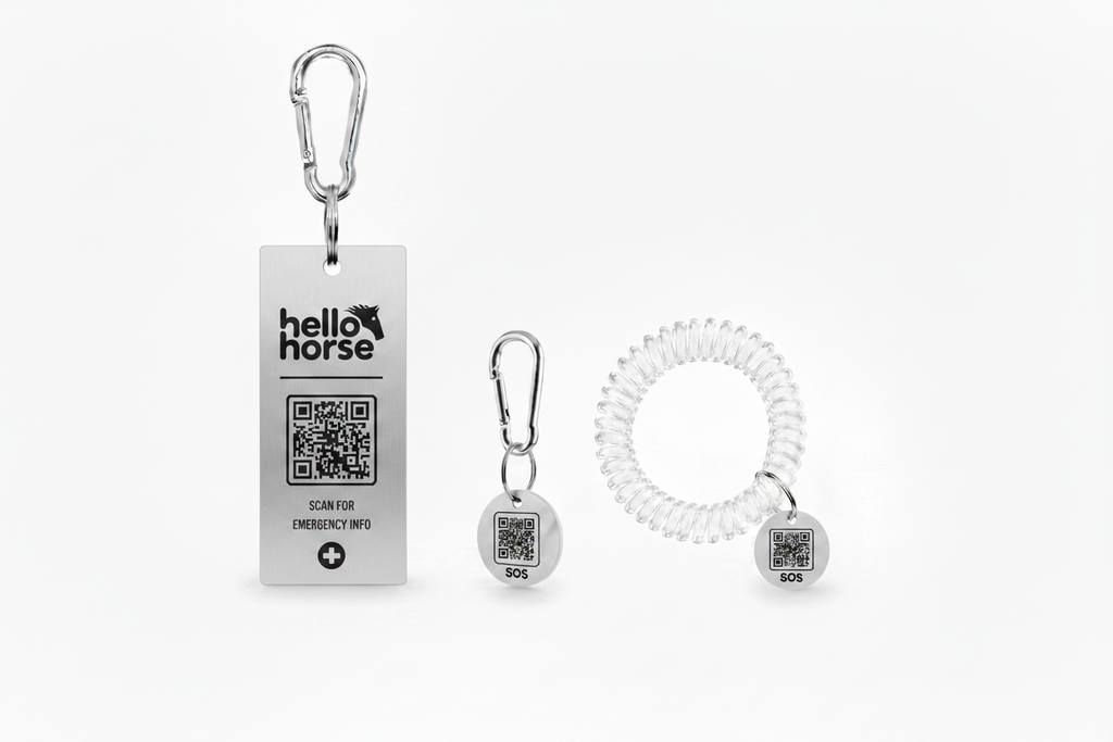 Hello Horse Emergency Set - Silver with Black