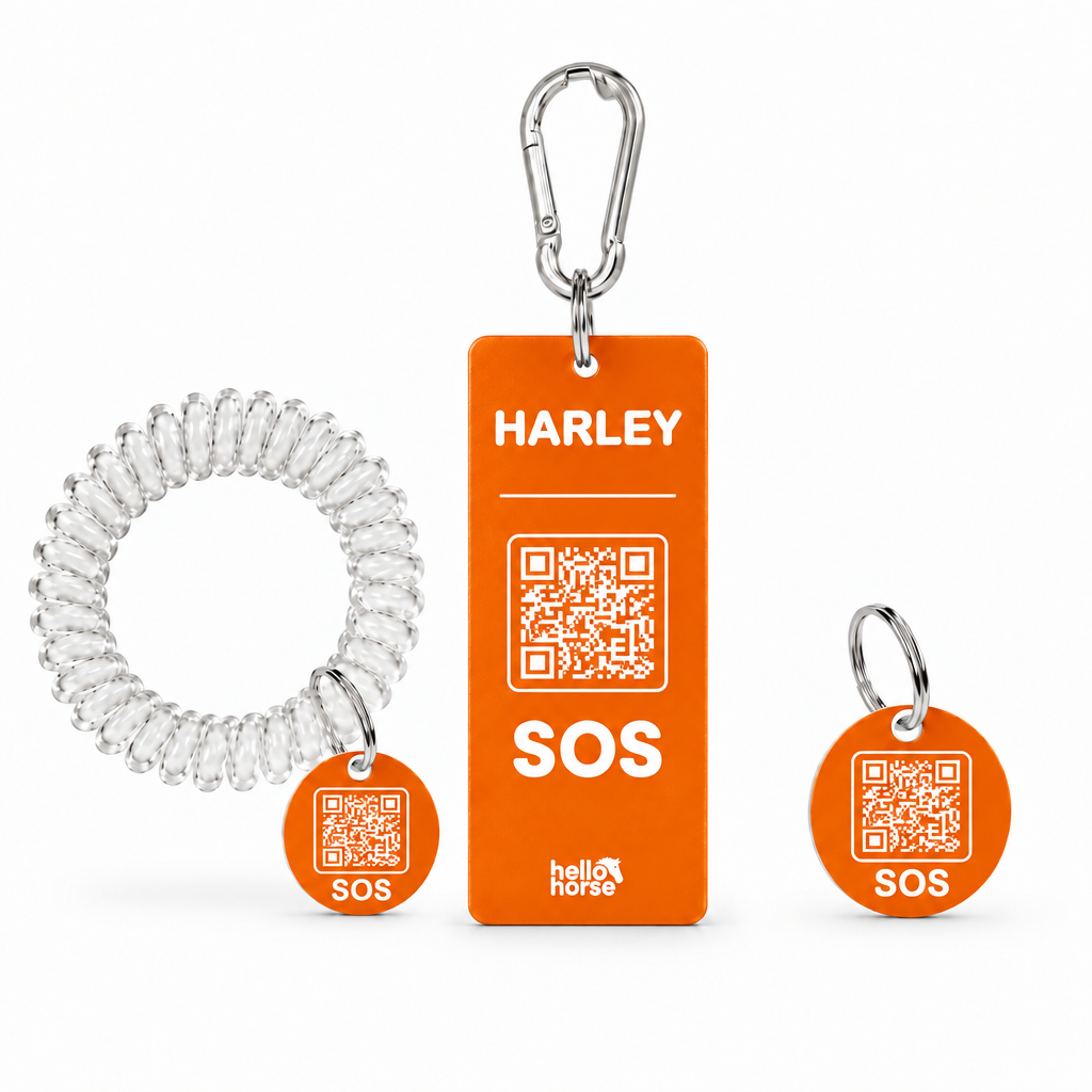 Orange Hello Horse tag set