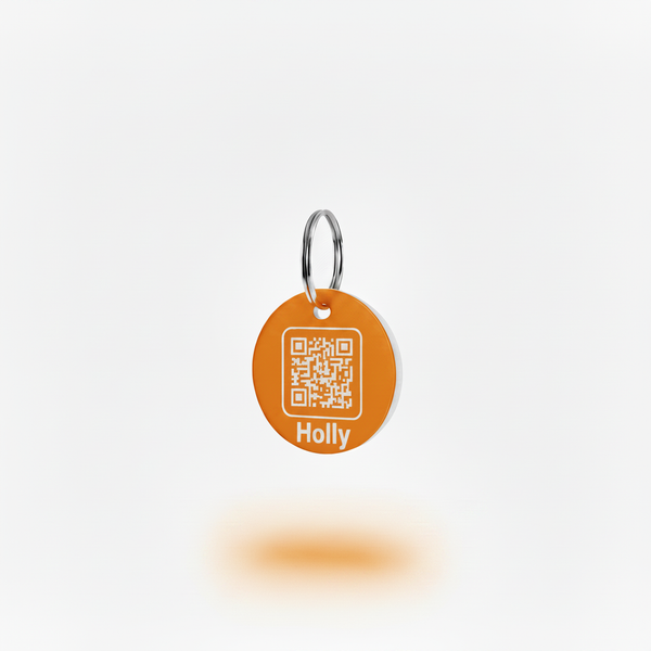 Orange Holly tag