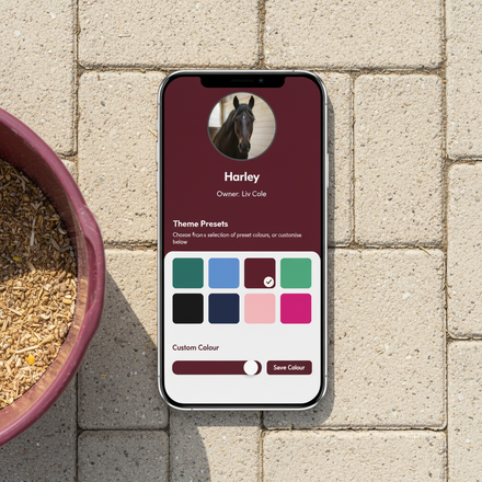 Phone with correct info on sandy tiles