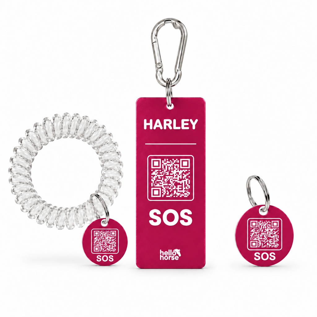 Pink Hello Horse tag set
