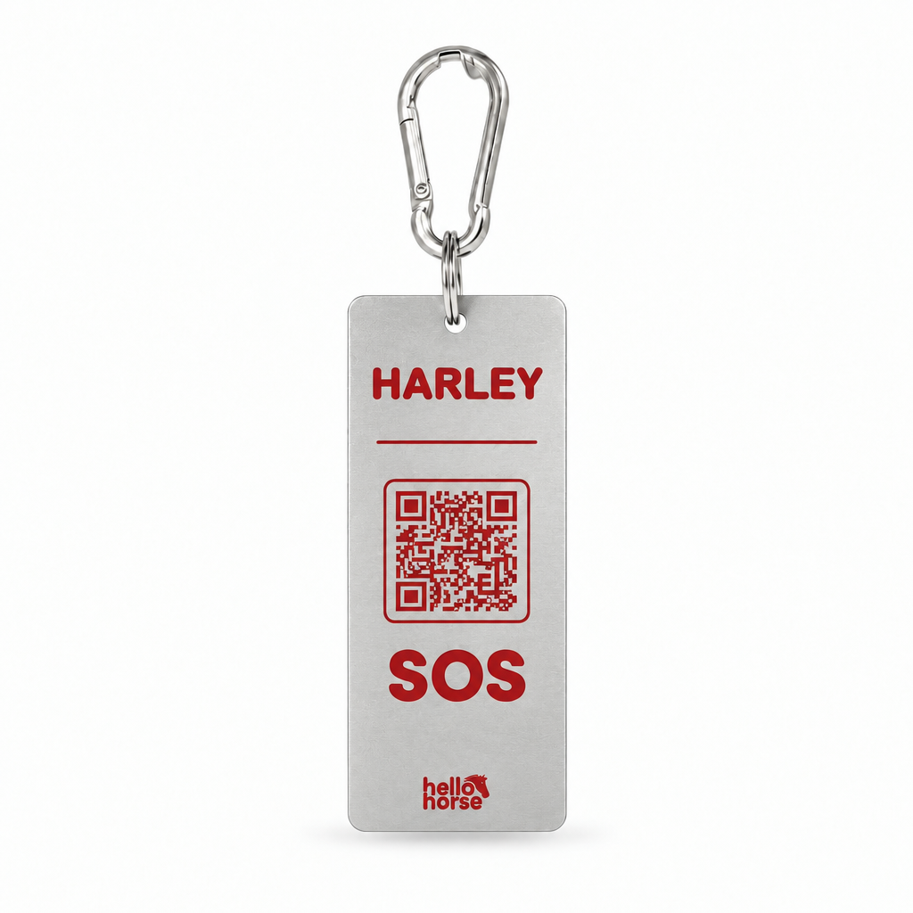 Silver SOS tag with red artwork