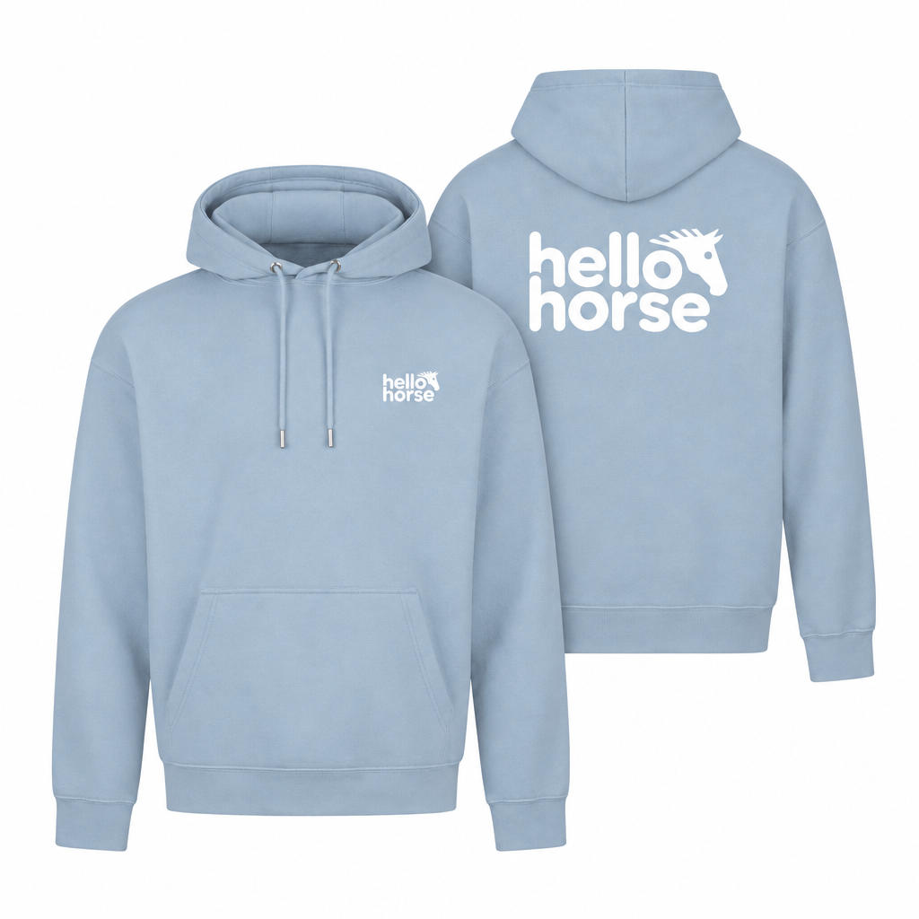 Sky Blue front and back hoodies