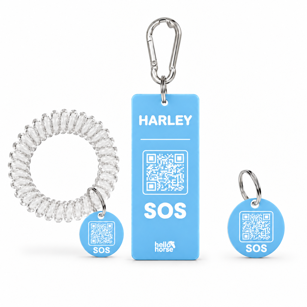 Sky blue Hello Horse tag set